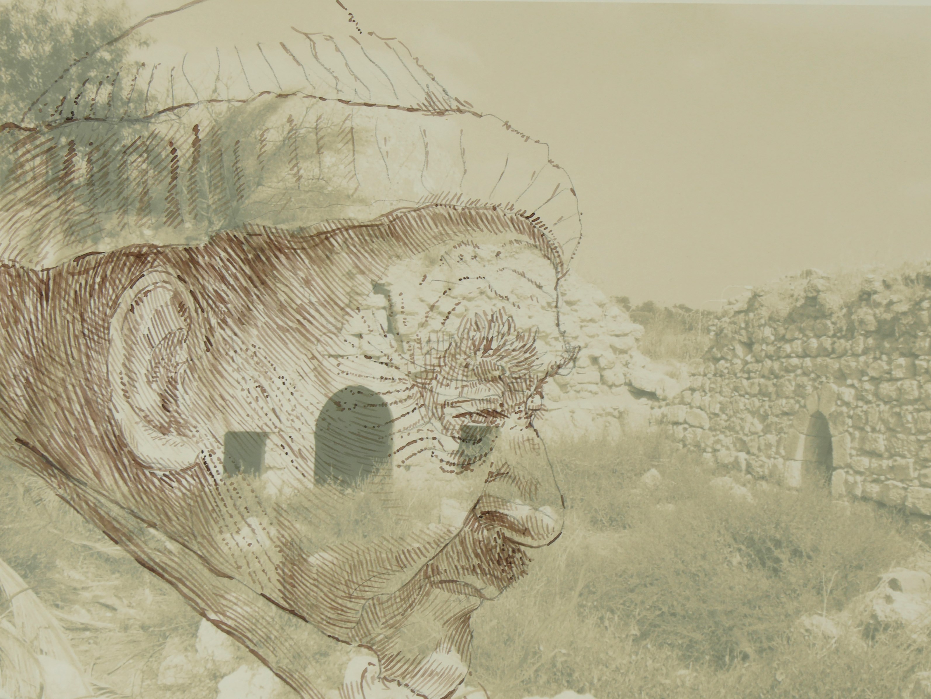 The side profile of a Palestinian man overlays a field with rocky ruins.