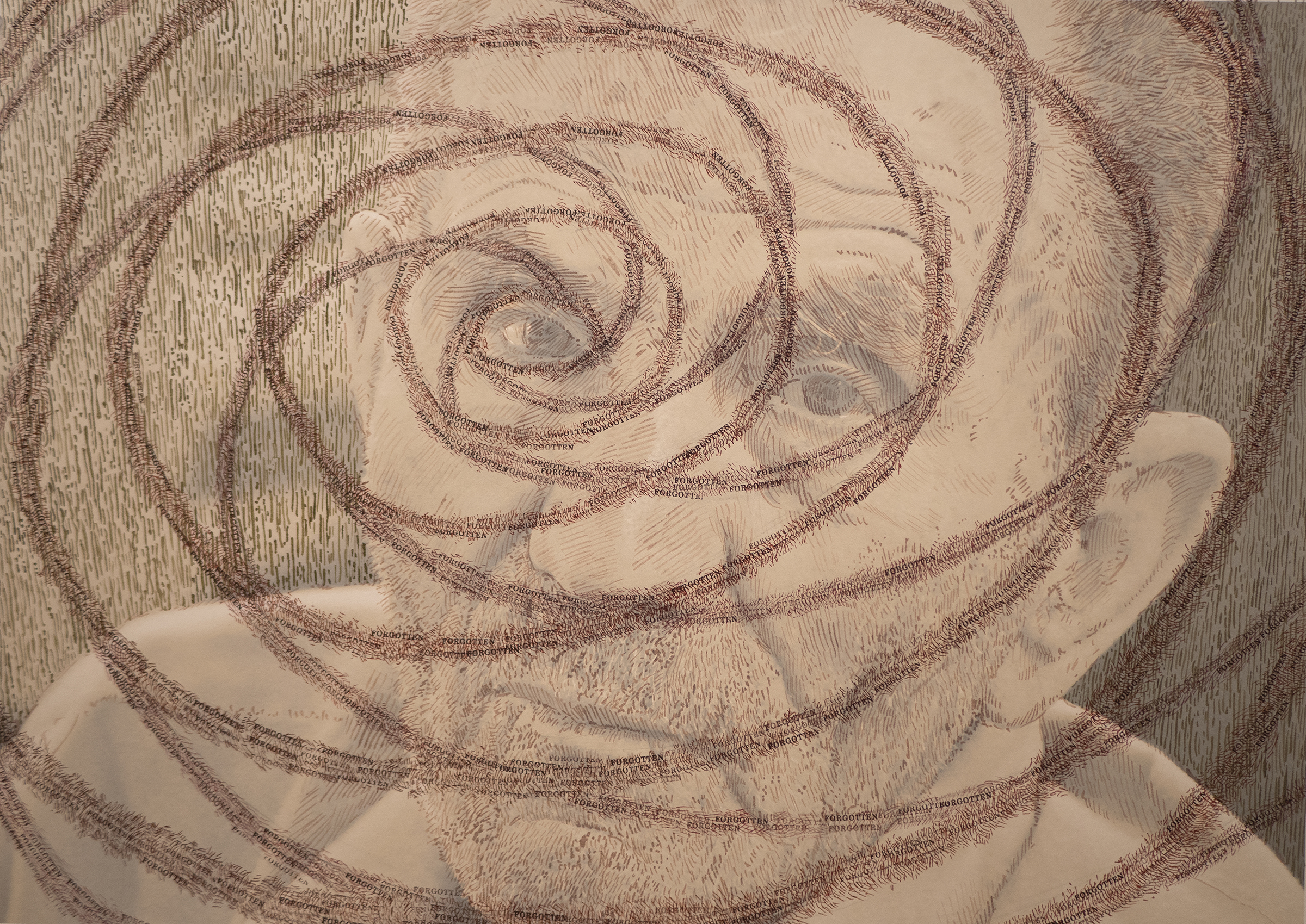 Swirls of the words "forgotten survivors" lead down to the eye of an old man.