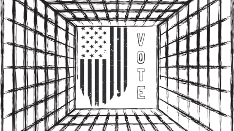 Cage with american flag and word vote in the middle