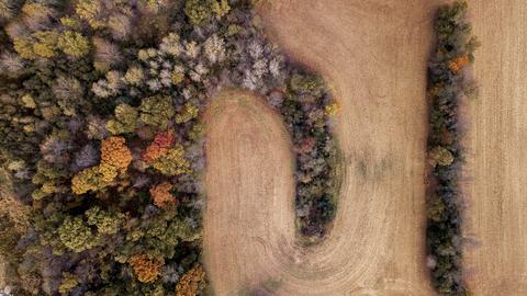 Aerial Shot Dry Grassy Field Near Different Color Trees. Image by Wirestock on freepik.