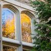 HDS Campus in autumn, 11-10-2021