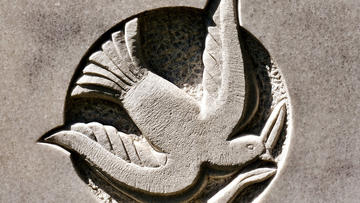 Dove flying with an olive branch, carved into stone