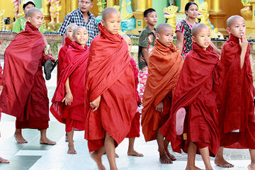 Novice monks