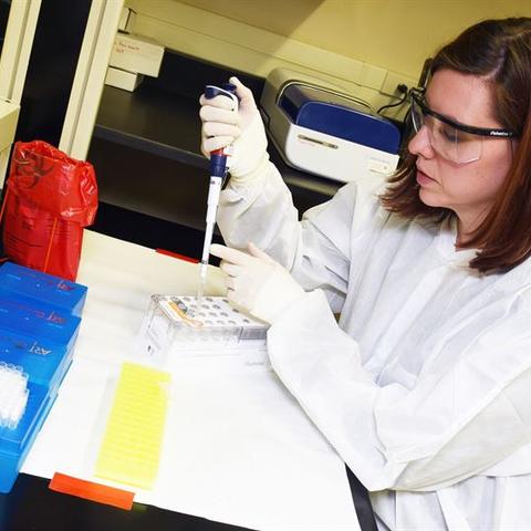 Scientist working in a lab