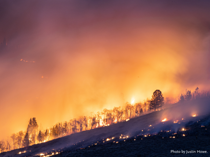 A ridge with trees is on fire, photo by Justine Howe